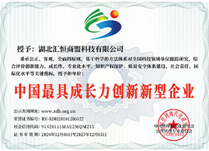 中国最具成长率创新新型企业